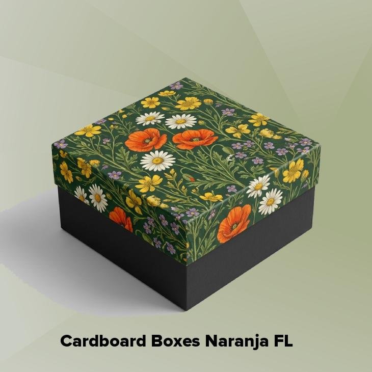 Cardboard boxes naranja fl