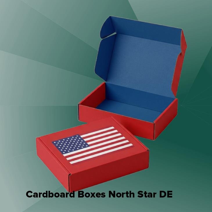 Cardboard boxes north star de