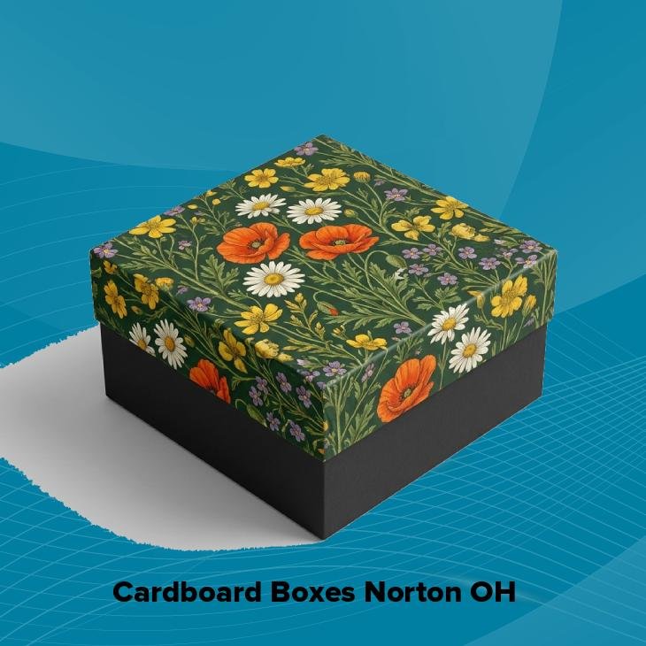Cardboard boxes norton oh