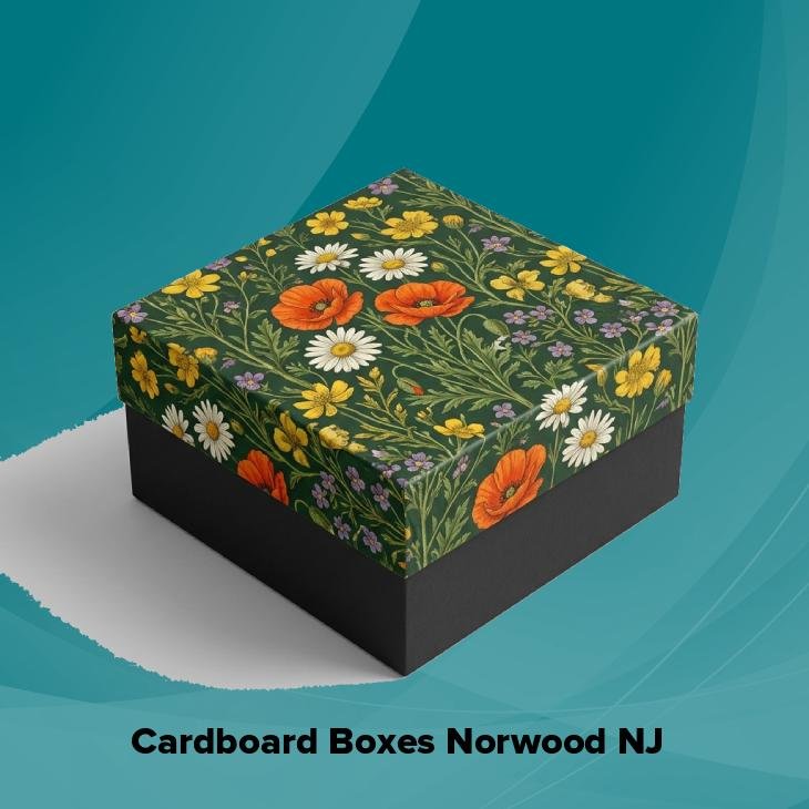 Cardboard boxes norwood nj