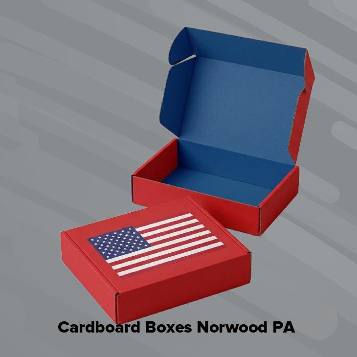 Cardboard boxes norwood pa