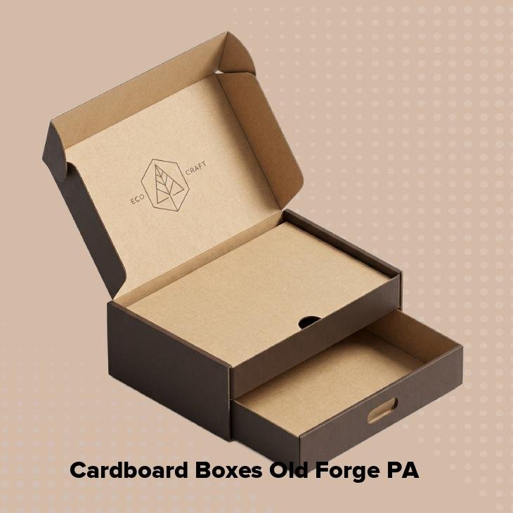 Cardboard boxes old forge pa