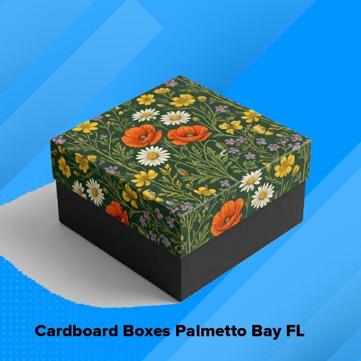 Cardboard boxes palmetto bay fl