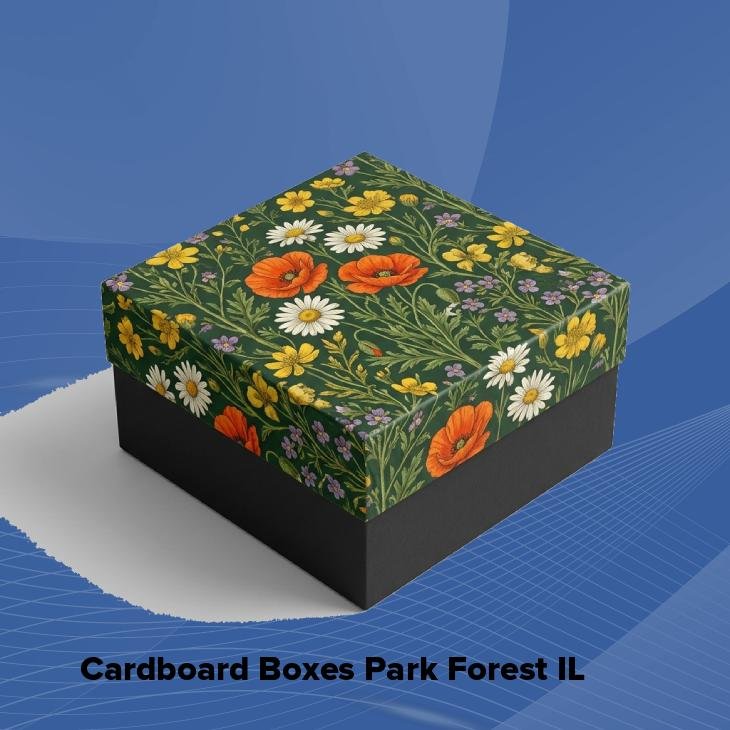Cardboard boxes park forest il