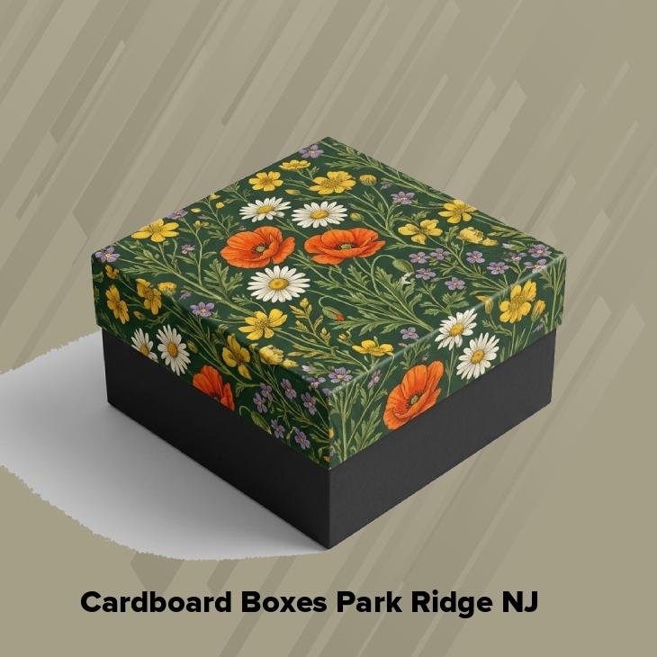 Cardboard boxes park ridge nj