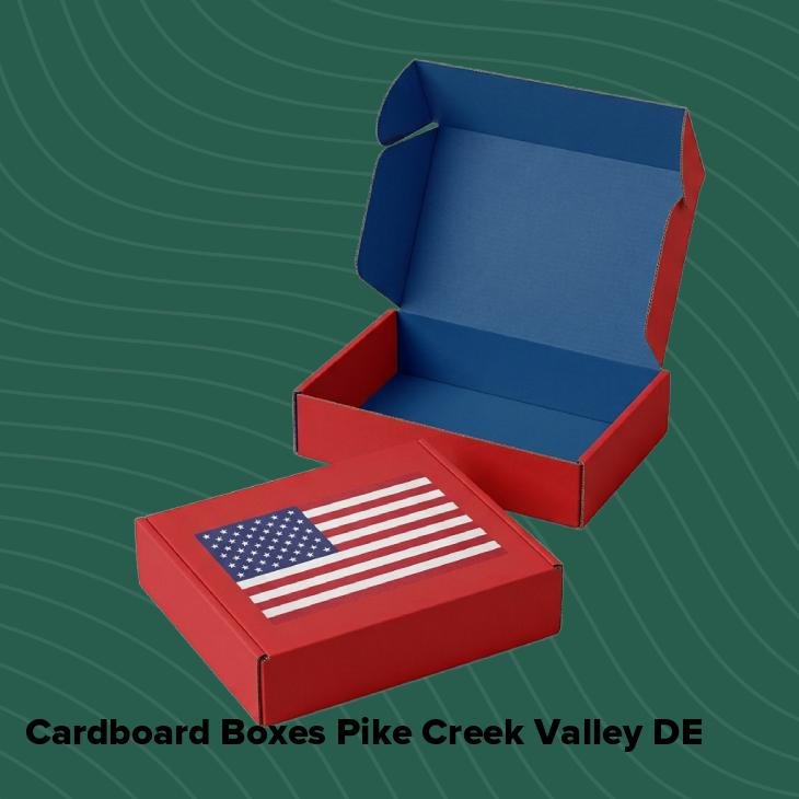 Cardboard boxes pike creek valley de