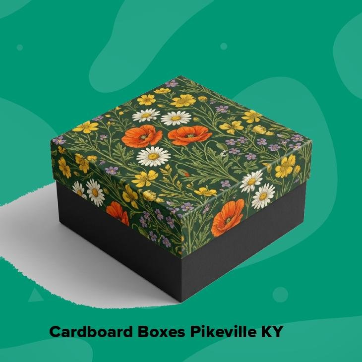 Cardboard boxes pikeville ky