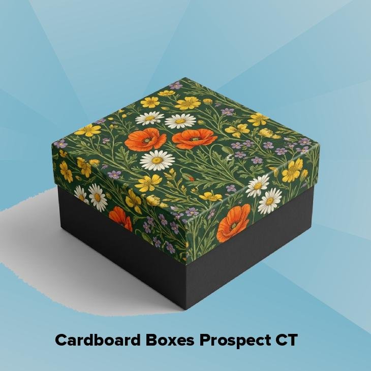 Cardboard boxes prospect ct