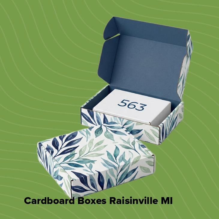 Cardboard boxes raisinville mi