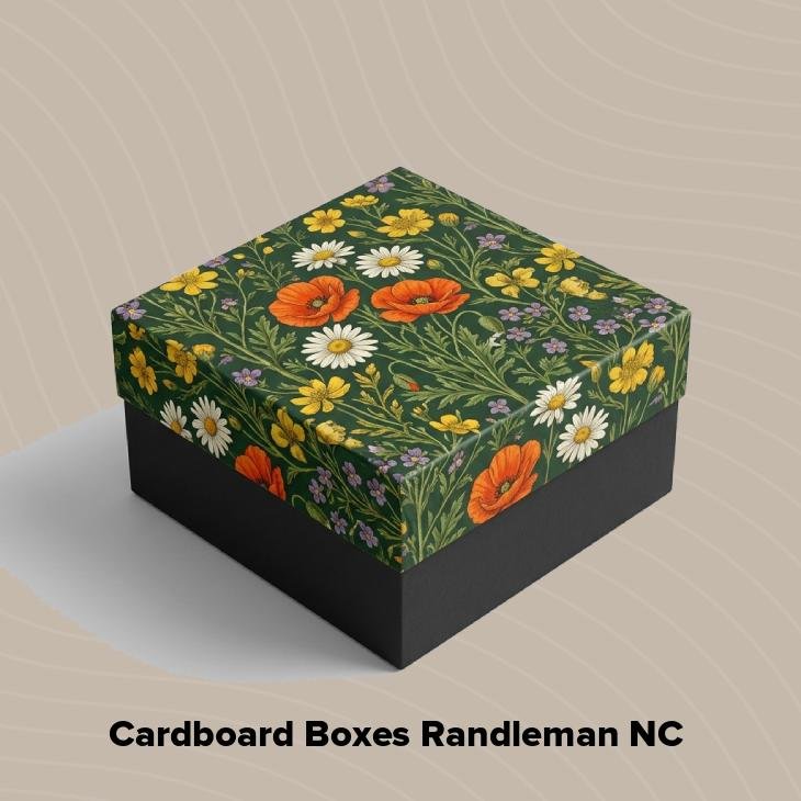 Cardboard boxes randleman nc