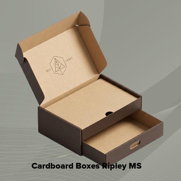 Cardboard boxes ripley ms