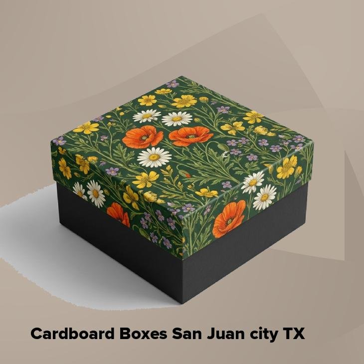 Cardboard boxes san juan city tx