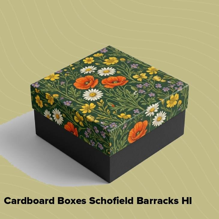 Cardboard boxes schofield barracks hi