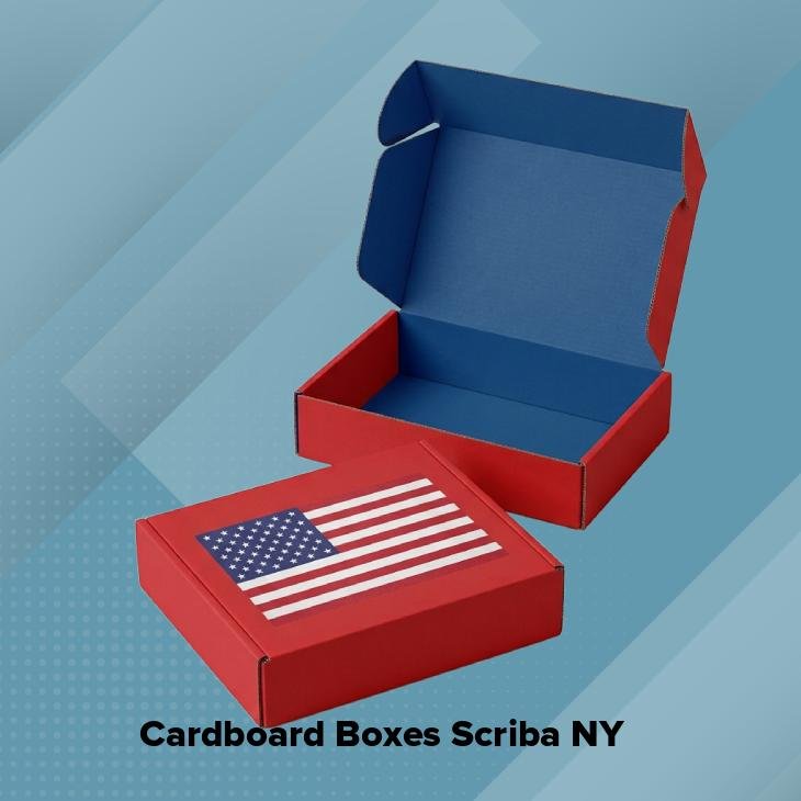 Cardboard boxes scriba ny