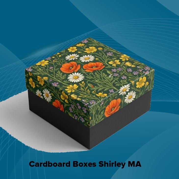 Cardboard boxes shirley ma