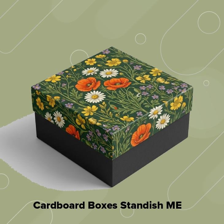Cardboard boxes standish me