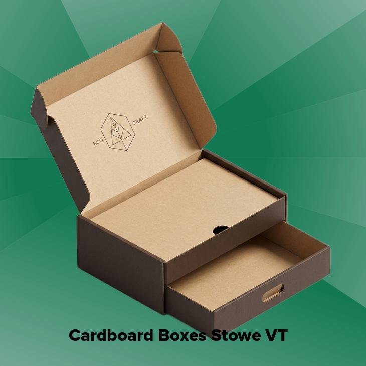 Cardboard boxes stowe vt
