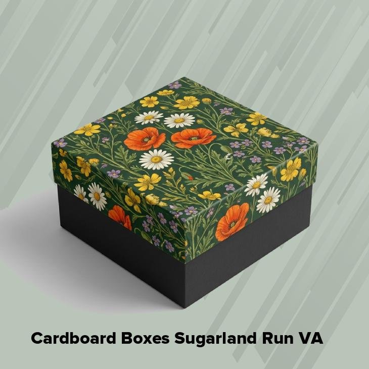 Cardboard boxes sugarland run va