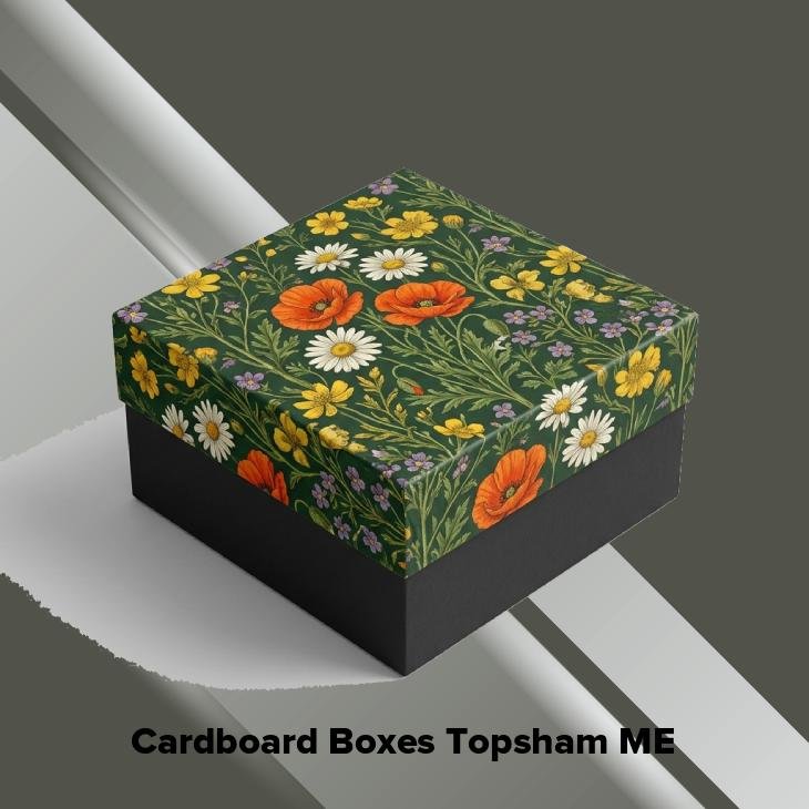 Cardboard boxes topsham me