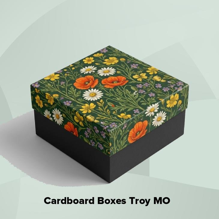 Cardboard boxes troy mo
