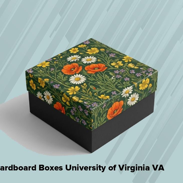 Cardboard boxes university of virginia va