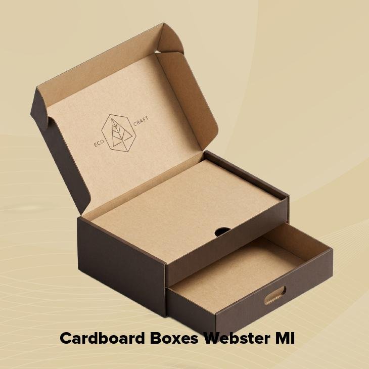 Cardboard boxes webster mi