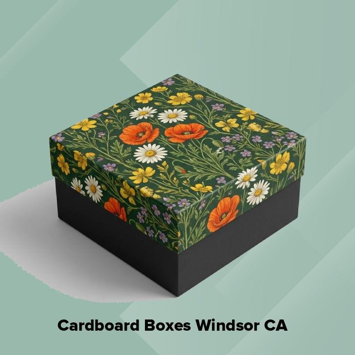 Cardboard boxes windsor ca