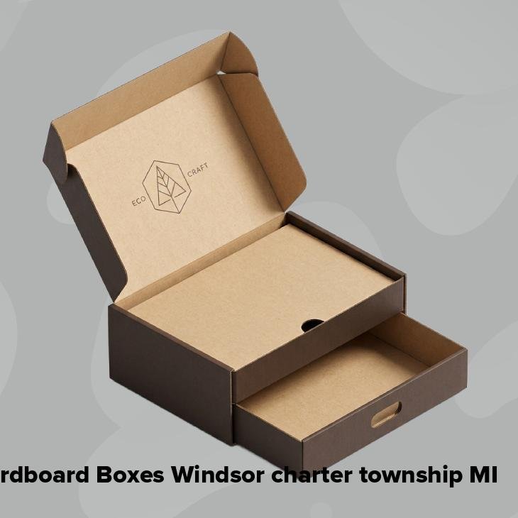 Cardboard boxes windsor charter township mi