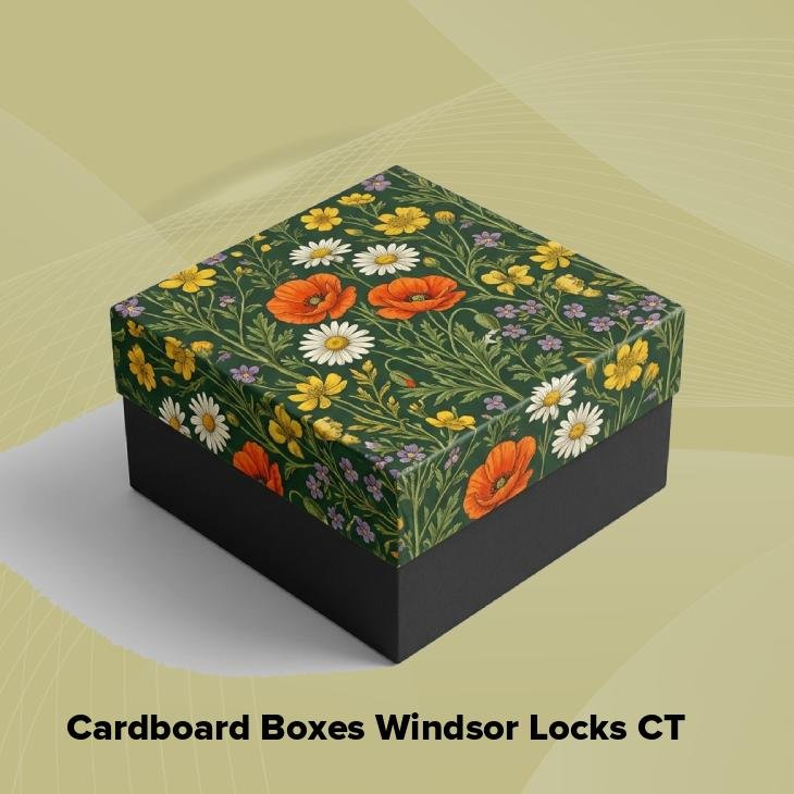 Cardboard boxes windsor locks ct