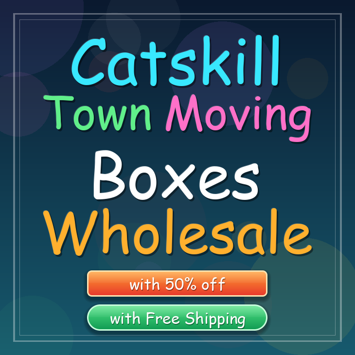 Catskill Town moving boxes