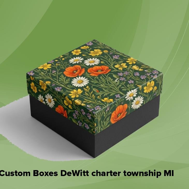 Custom boxes dewitt charter township mi