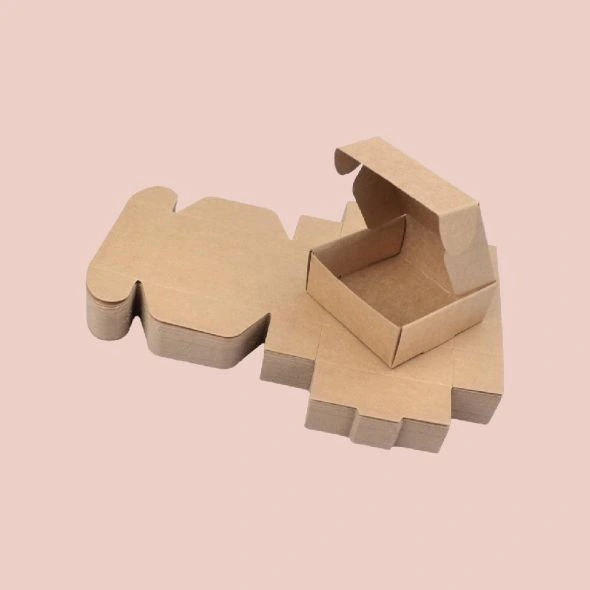 Custom printed cookie mailing boxes