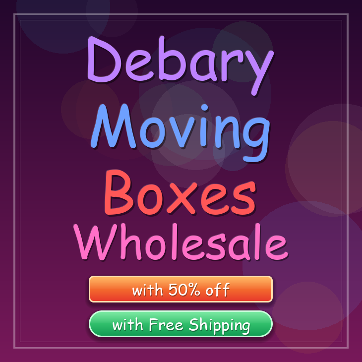 Debary moving boxes