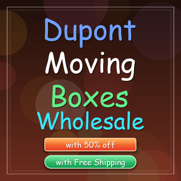 Dupont moving boxes