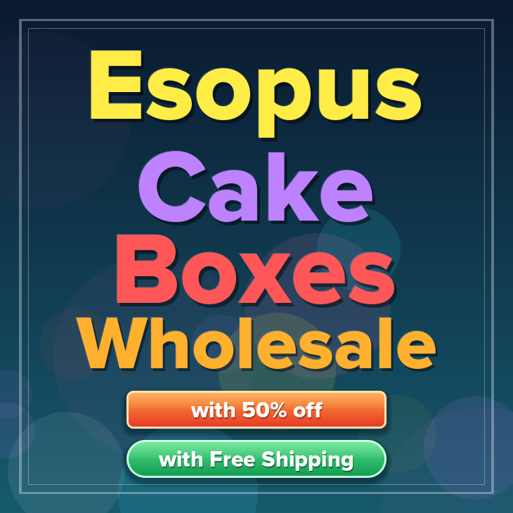 Esopus cake boxes