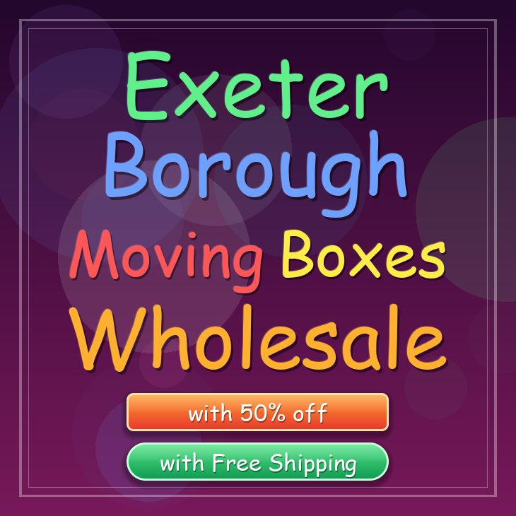 Exeter Borough moving boxes