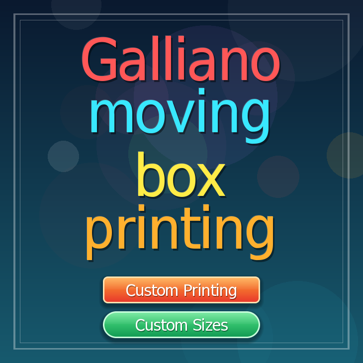 Galliano moving box printing