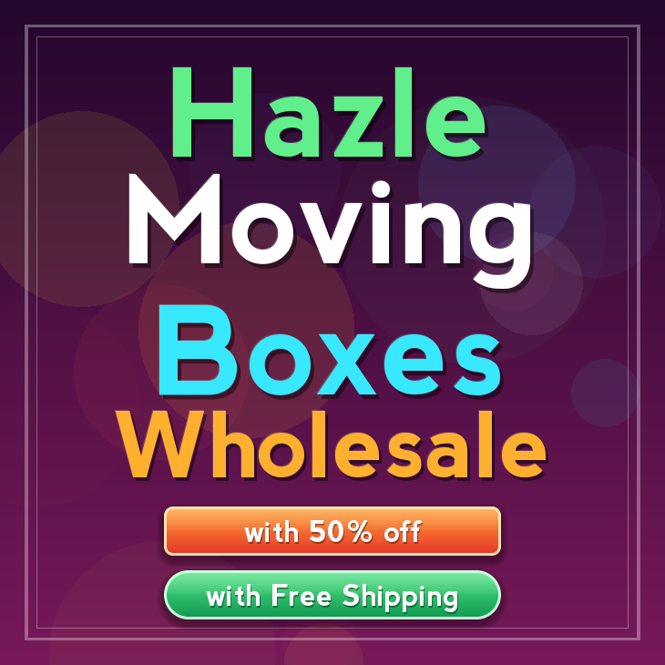 Hazle moving boxes