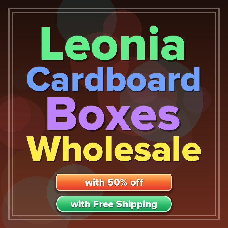 Leonia cardboard boxes
