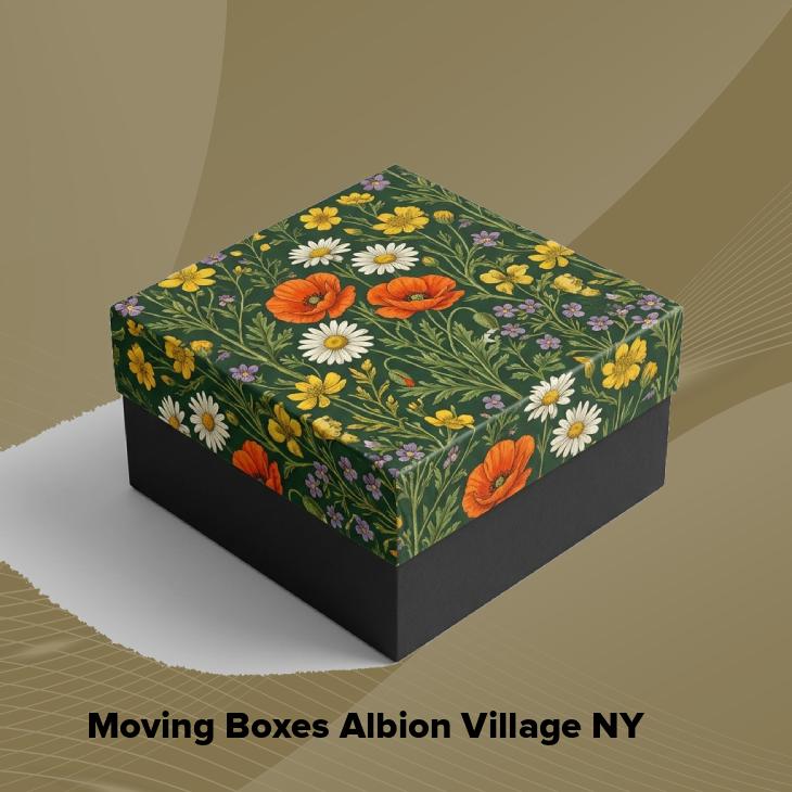 Moving boxes albion village ny
