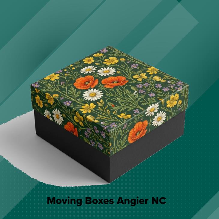 Moving boxes angier nc