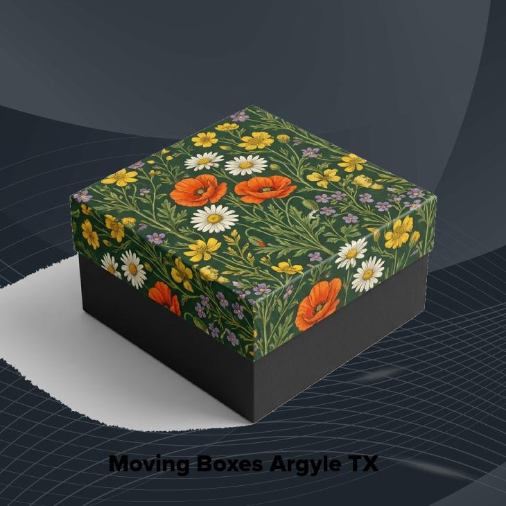 Moving boxes argyle tx