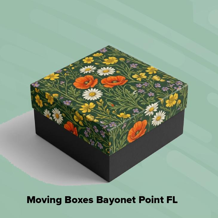 Moving boxes bayonet point fl