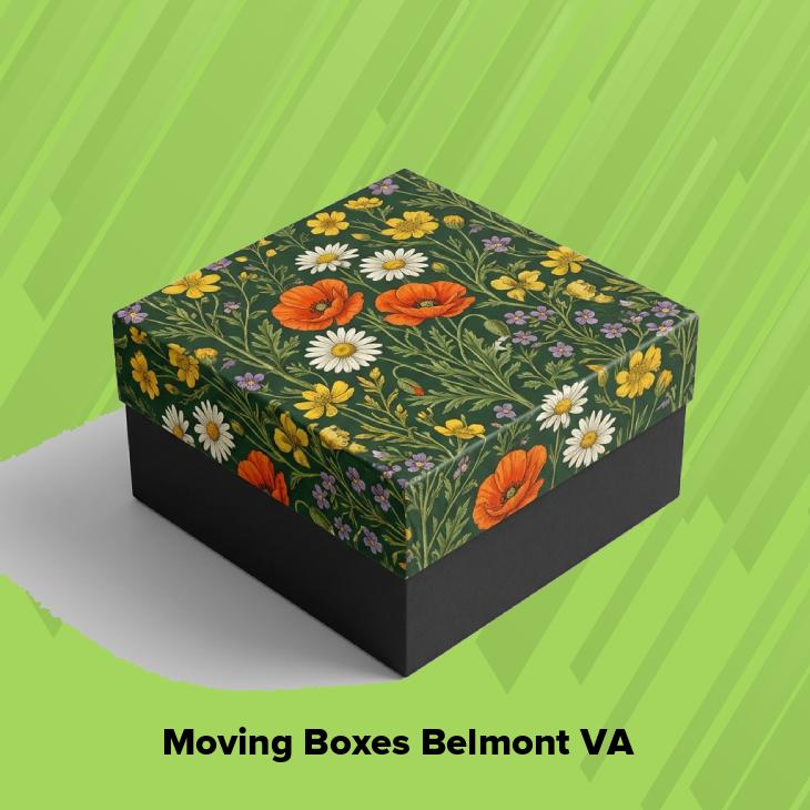 Moving boxes belmont va