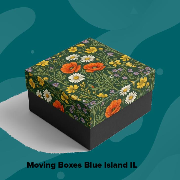 Moving boxes blue island il