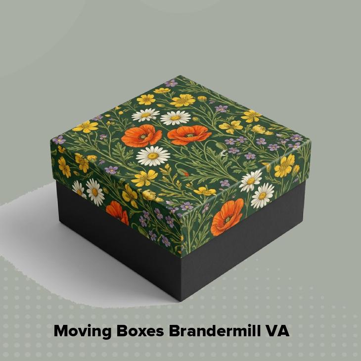 Moving boxes brandermill va