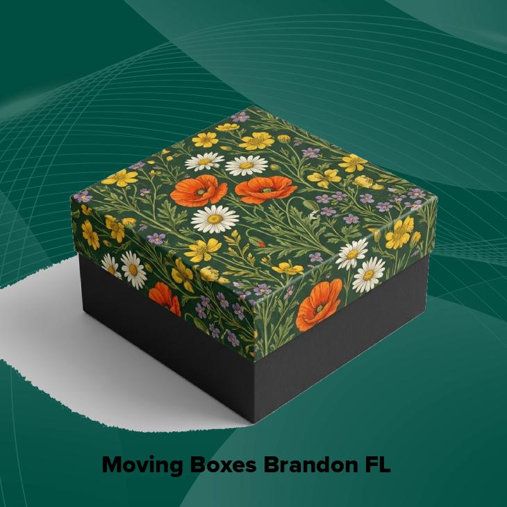 Moving boxes brandon fl