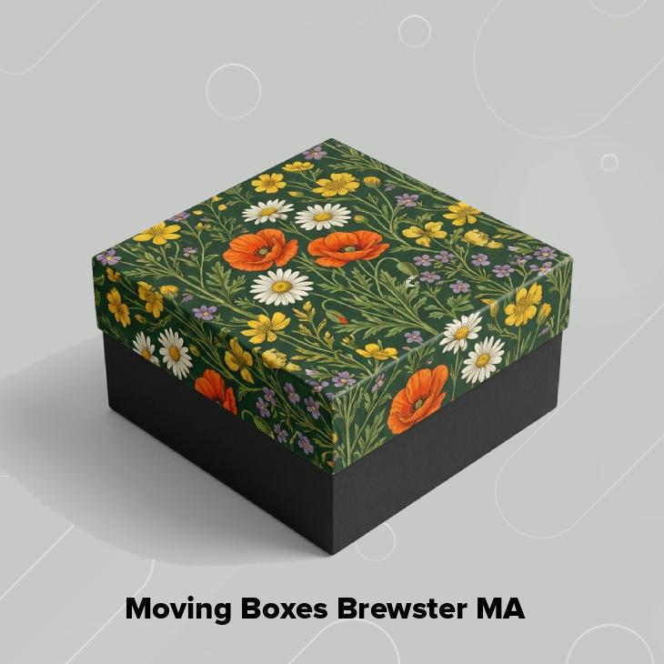 Moving boxes brewster ma