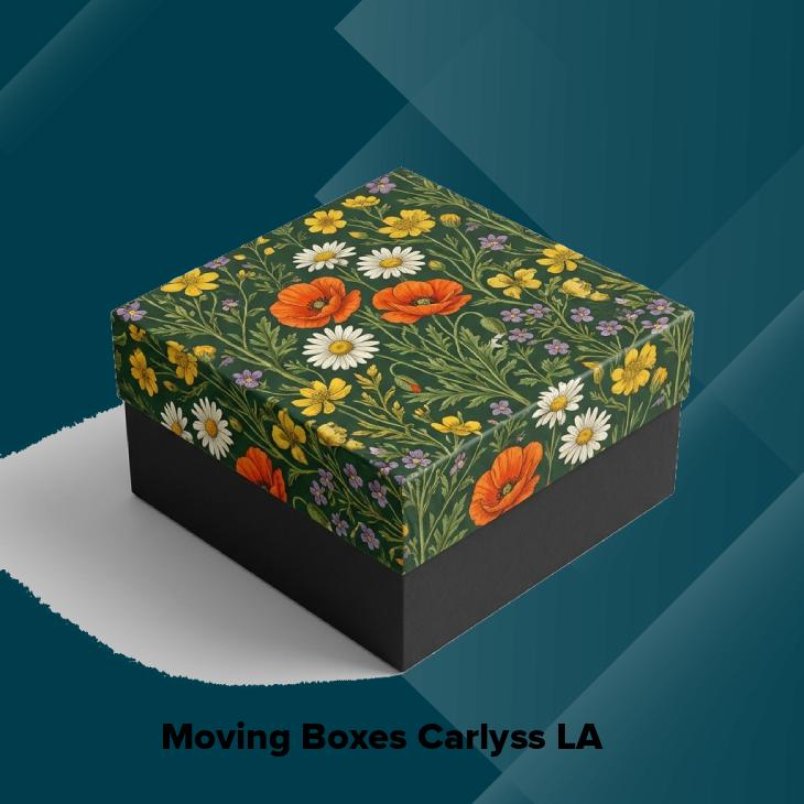 Moving boxes carlyss la