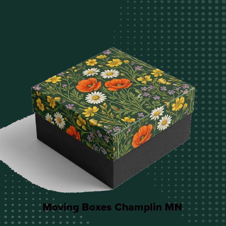 Moving boxes champlin mn